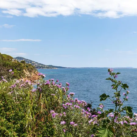 Maison Cecile Carqueiranne