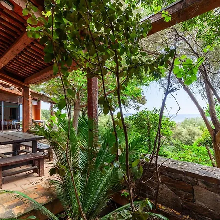 Maison Cecile Hébergement de vacances Carqueiranne