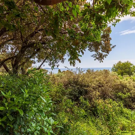 Maison Cecile Hébergement de vacances