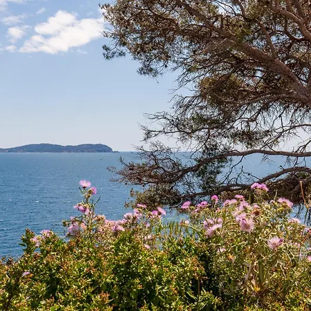 Maison Cecile Carqueiranne